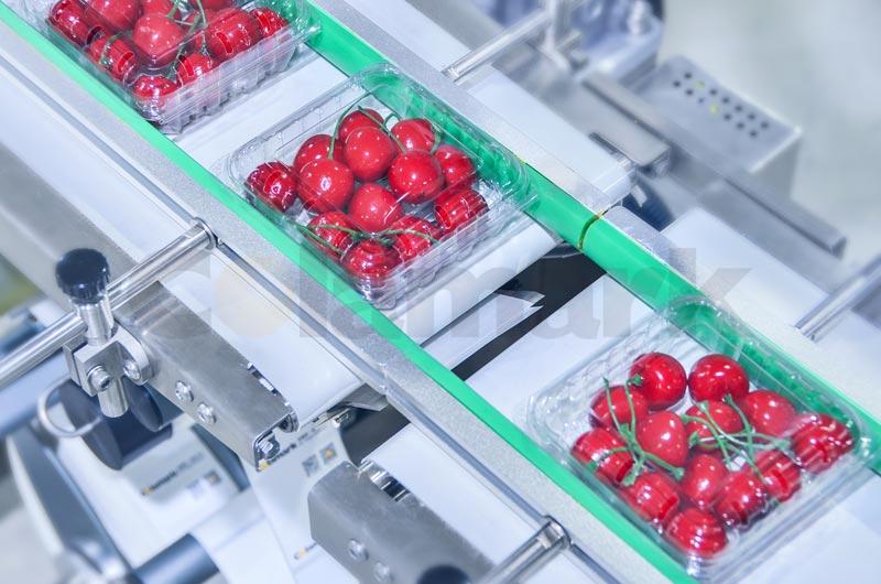 FX731 模塊化底面貼標(biāo)機(jī)