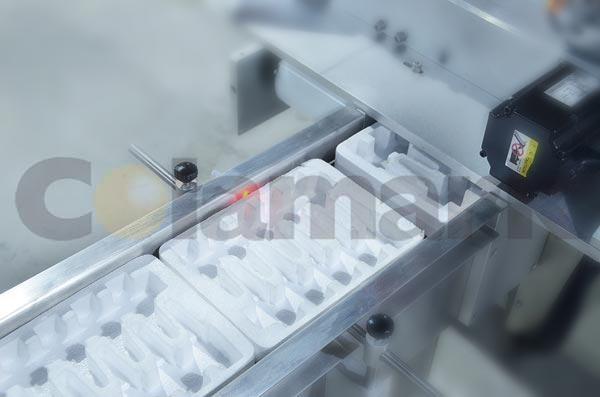 雙排臥式入托機