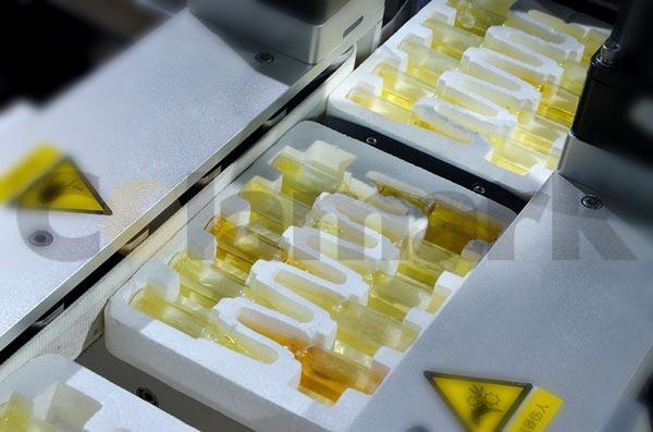 雙排臥式入托機